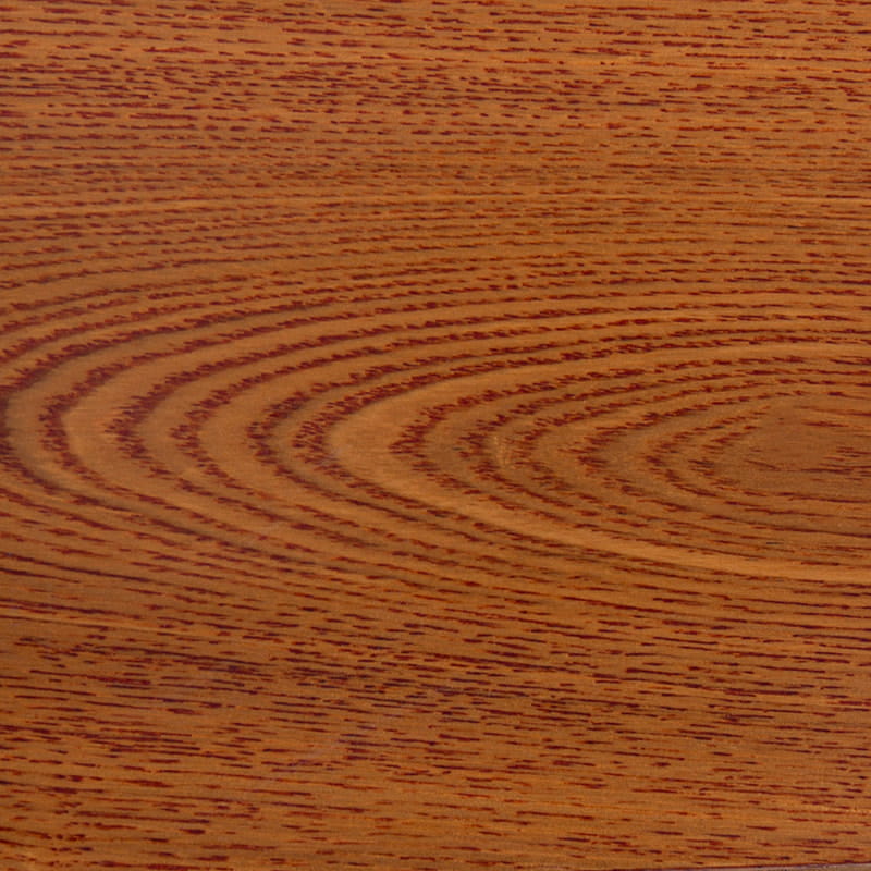 Fraxinus lignis albis, lignis lignis solidi, lignis CONTABULATIO